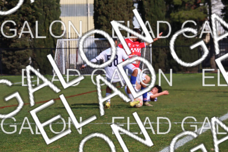 Melbourne Knights vs Oakleigh Cannons photo