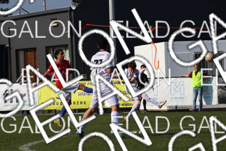 Melbourne Knights vs Oakleigh Cannons photo