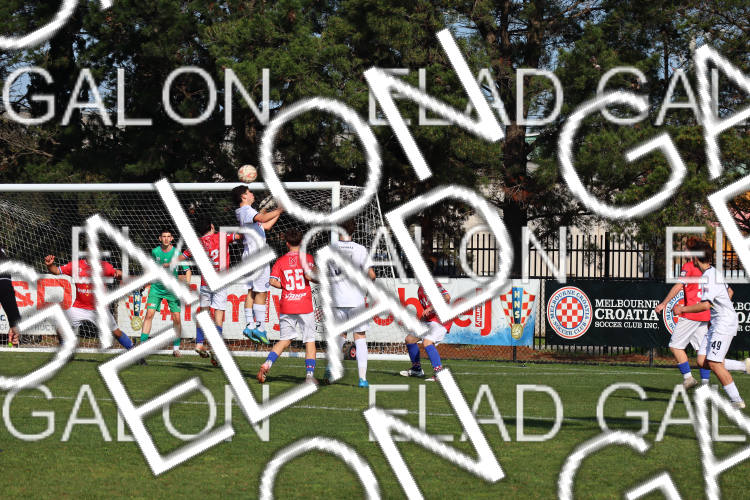 Melbourne Knights vs Oakleigh Cannons photo
