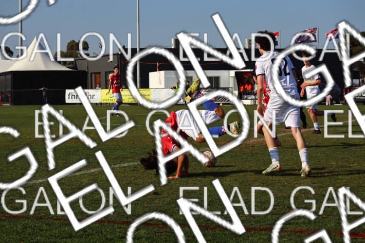 Melbourne Knights vs Oakleigh Cannons photo