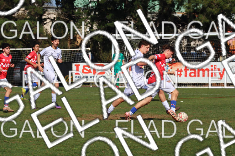 Melbourne Knights vs Oakleigh Cannons photo