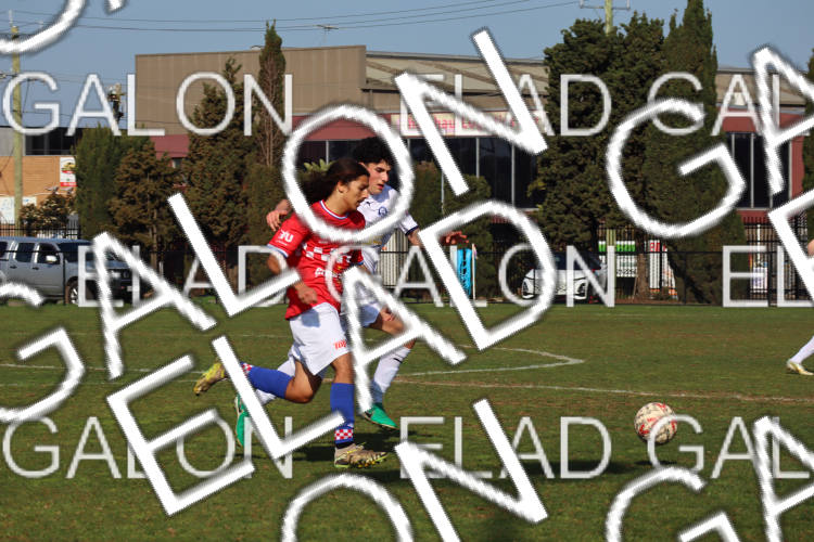 Melbourne Knights vs Oakleigh Cannons photo