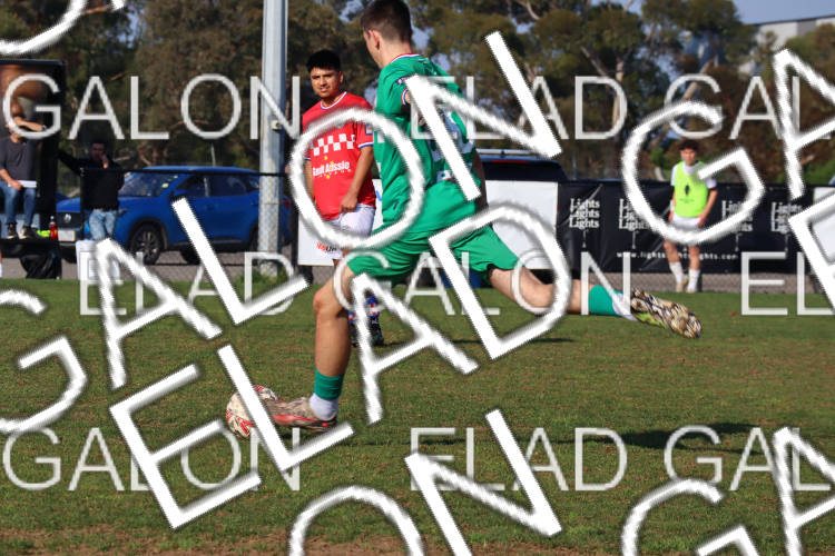 Melbourne Knights vs Oakleigh Cannons photo