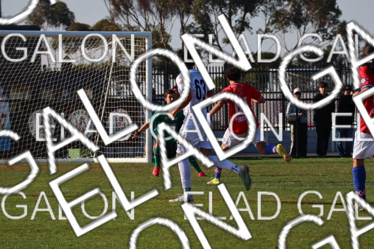 Melbourne Knights vs Oakleigh Cannons photo