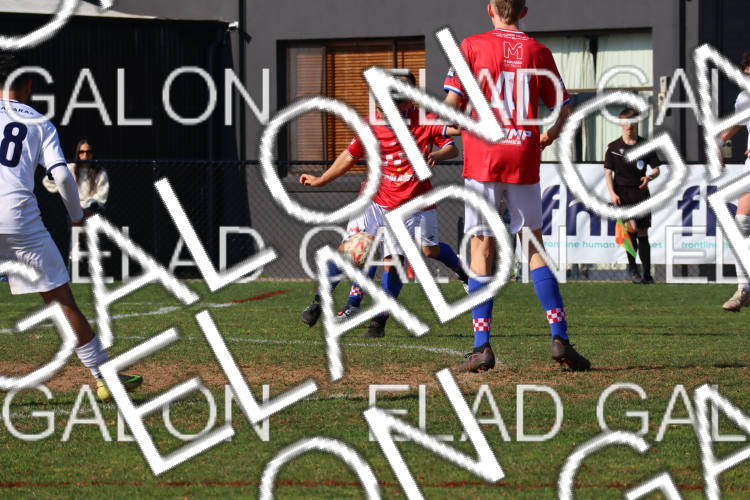 Melbourne Knights vs Oakleigh Cannons photo