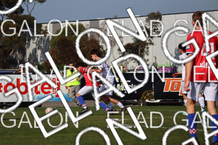 Melbourne Knights vs Oakleigh Cannons photo