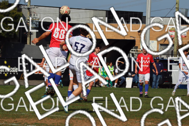 Melbourne Knights vs Oakleigh Cannons photo