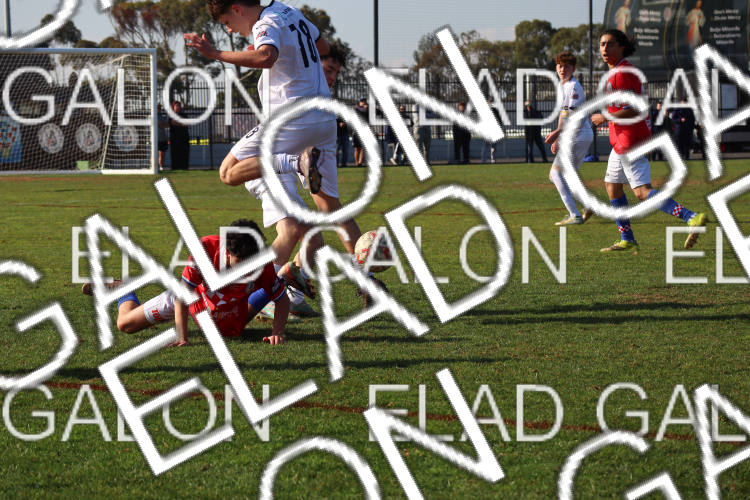 Melbourne Knights vs Oakleigh Cannons photo