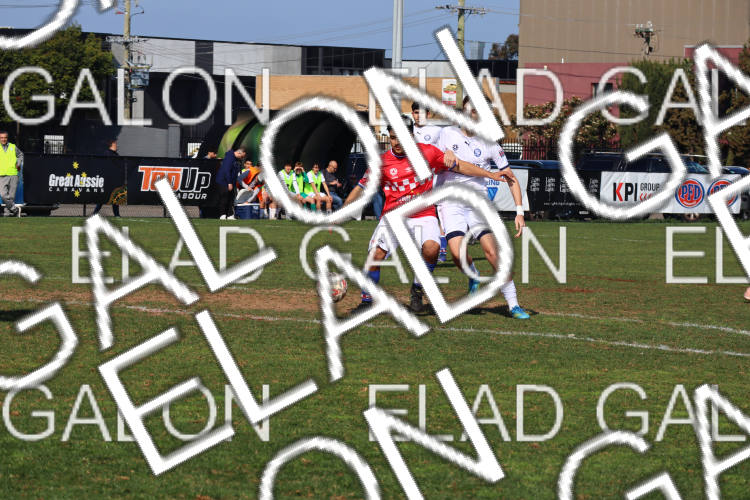 Melbourne Knights vs Oakleigh Cannons photo