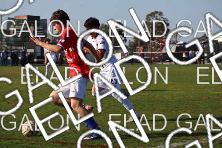 Melbourne Knights vs Oakleigh Cannons photo