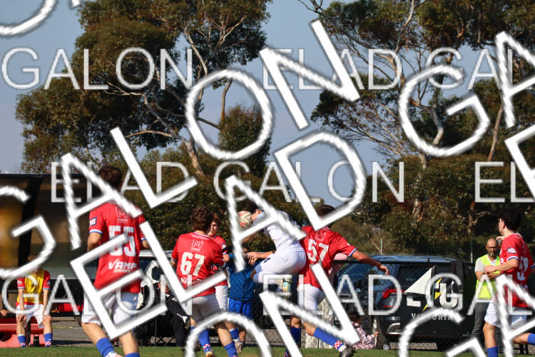 Melbourne Knights vs Oakleigh Cannons photo
