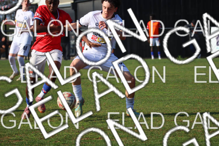 Melbourne Knights vs Oakleigh Cannons photo