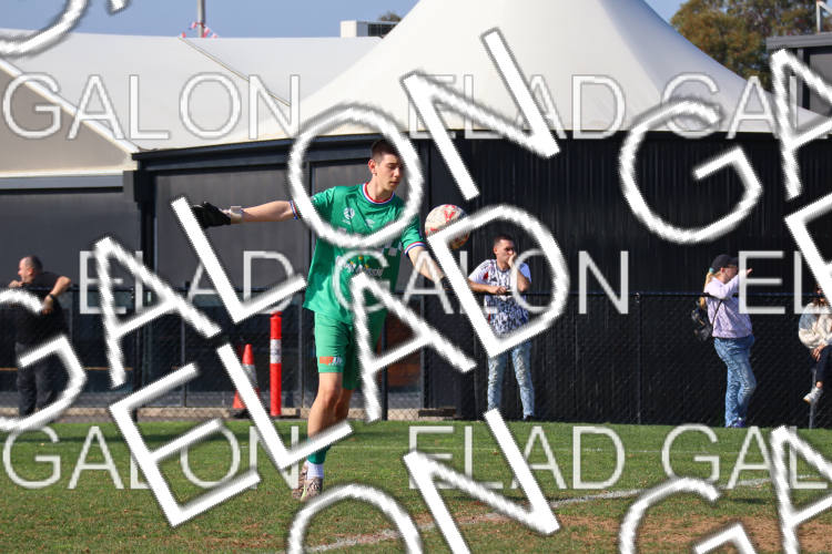 Melbourne Knights vs Oakleigh Cannons photo