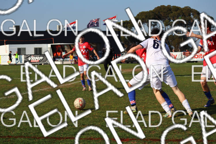 Melbourne Knights vs Oakleigh Cannons photo