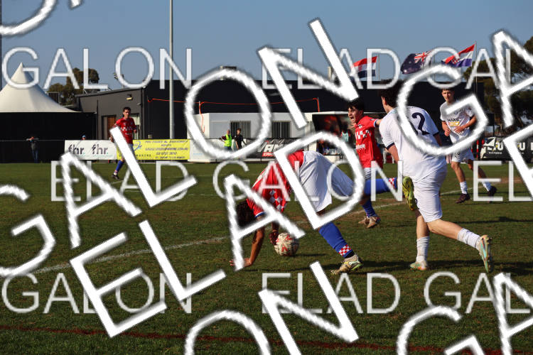 Melbourne Knights vs Oakleigh Cannons photo