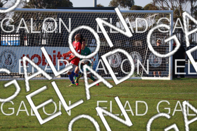 Melbourne Knights vs Oakleigh Cannons photo