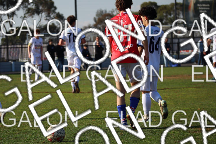 Melbourne Knights vs Oakleigh Cannons photo