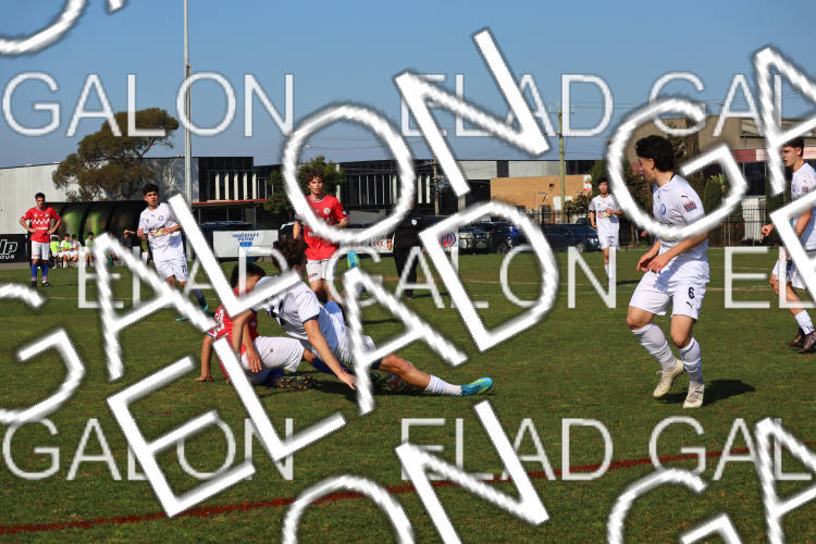 Melbourne Knights vs Oakleigh Cannons photo