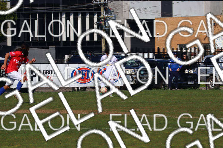 Melbourne Knights vs Oakleigh Cannons photo