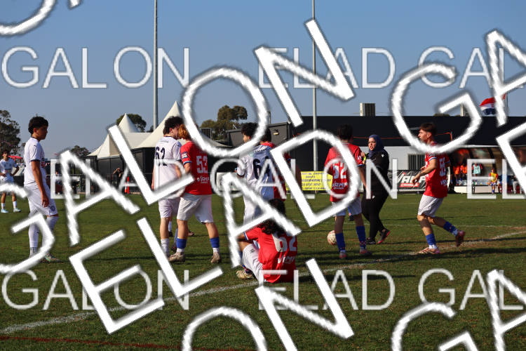Melbourne Knights vs Oakleigh Cannons photo