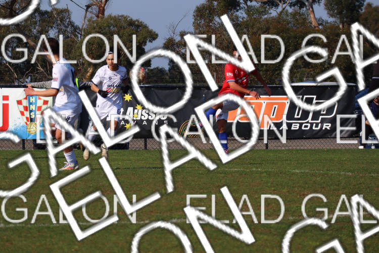 Melbourne Knights vs Oakleigh Cannons photo