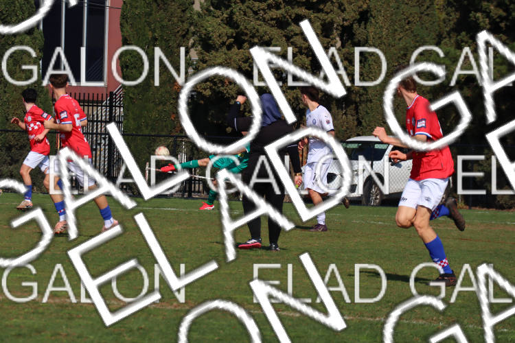 Melbourne Knights vs Oakleigh Cannons photo