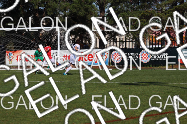 Melbourne Knights vs Oakleigh Cannons photo