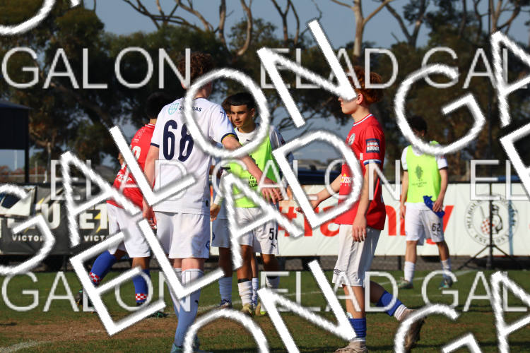 Melbourne Knights vs Oakleigh Cannons photo