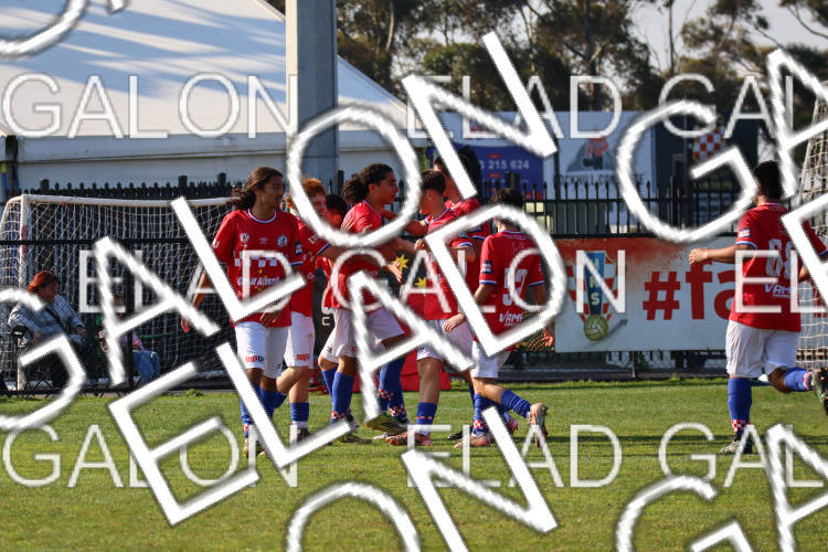 Melbourne Knights vs Oakleigh Cannons photo