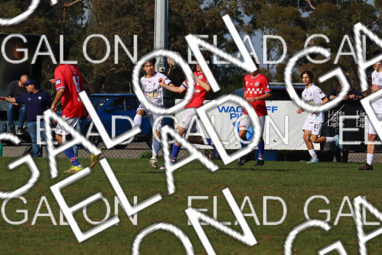 Melbourne Knights vs Oakleigh Cannons photo