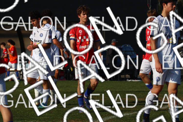 Melbourne Knights vs Oakleigh Cannons photo