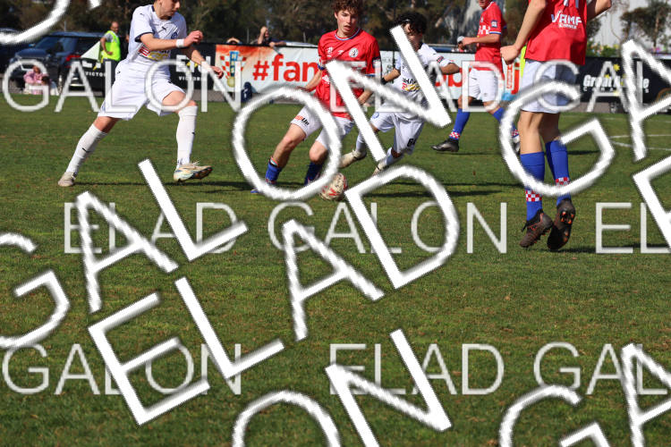 Melbourne Knights vs Oakleigh Cannons photo