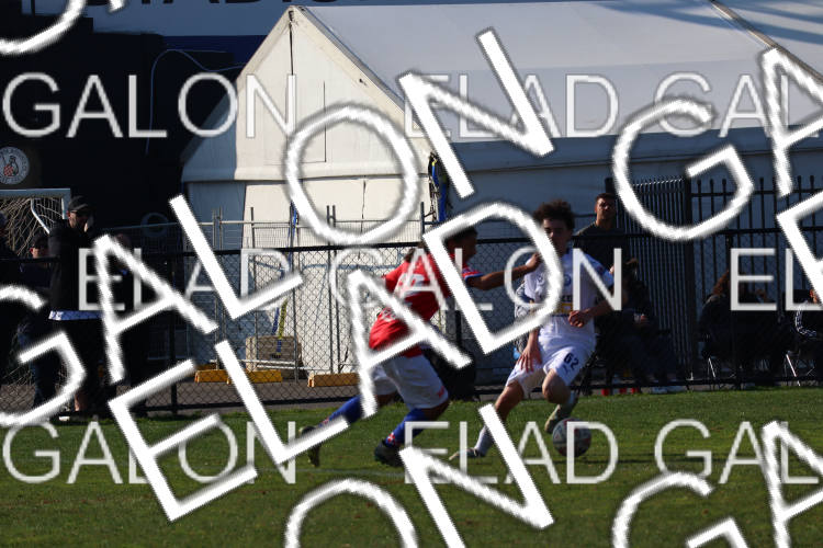 Melbourne Knights vs Oakleigh Cannons photo