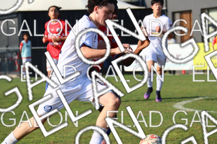 Melbourne Knights vs Oakleigh Cannons photo