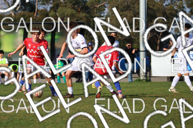 Melbourne Knights vs Oakleigh Cannons photo