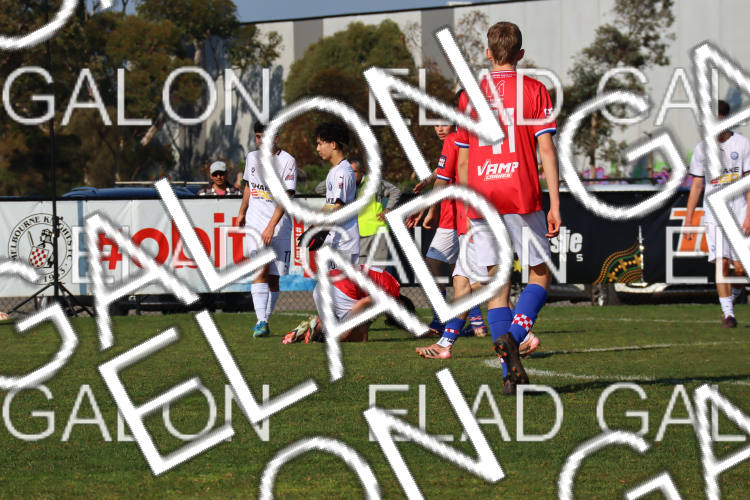 Melbourne Knights vs Oakleigh Cannons photo