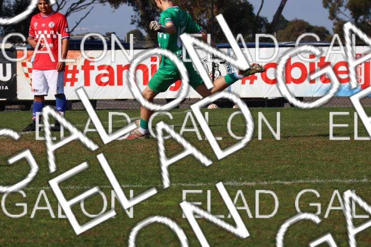 Melbourne Knights vs Oakleigh Cannons photo