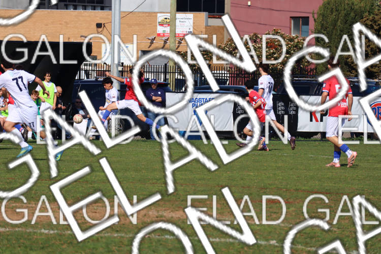 Melbourne Knights vs Oakleigh Cannons photo