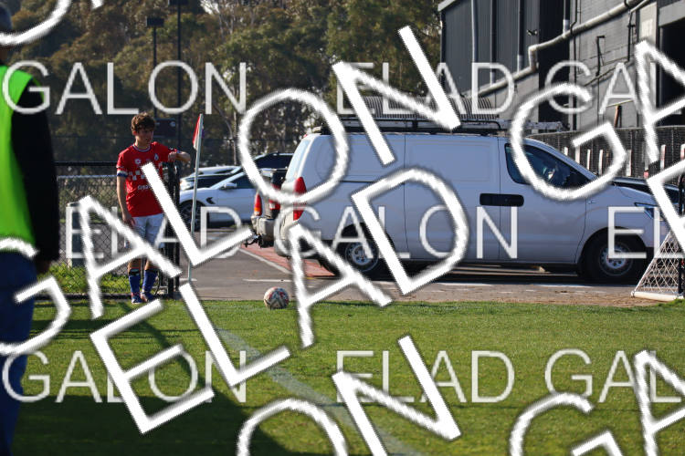 Melbourne Knights vs Oakleigh Cannons photo