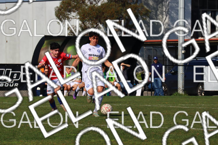 Melbourne Knights vs Oakleigh Cannons photo