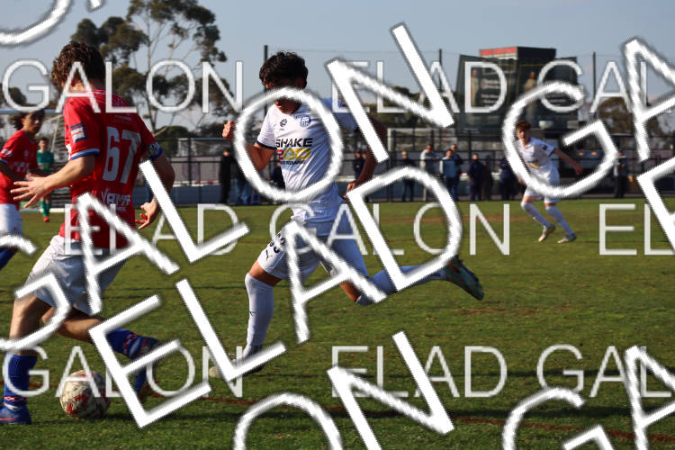 Melbourne Knights vs Oakleigh Cannons photo