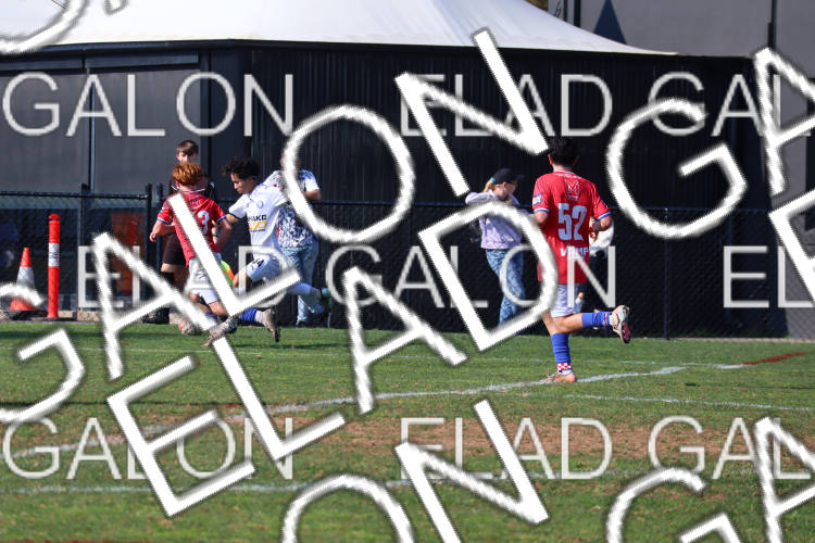 Melbourne Knights vs Oakleigh Cannons photo