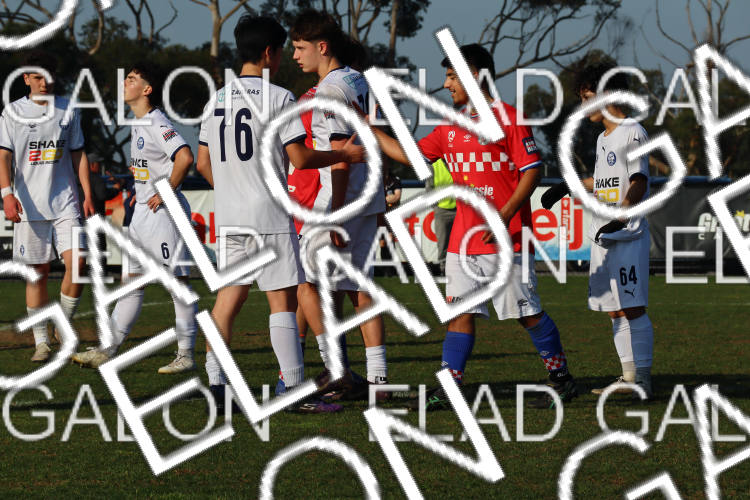 Melbourne Knights vs Oakleigh Cannons photo