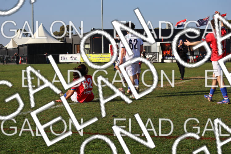 Melbourne Knights vs Oakleigh Cannons photo