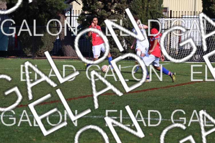 Melbourne Knights vs Oakleigh Cannons photo