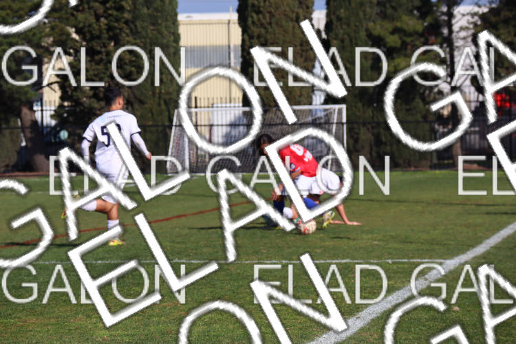 Melbourne Knights vs Oakleigh Cannons photo