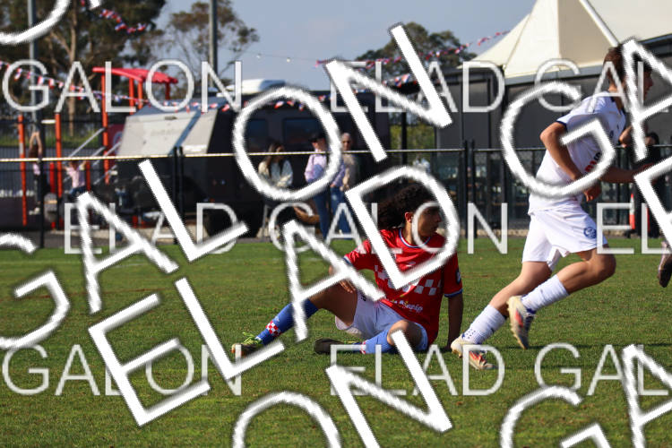 Melbourne Knights vs Oakleigh Cannons photo