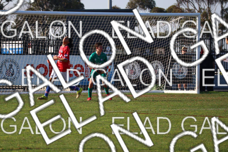 Melbourne Knights vs Oakleigh Cannons photo