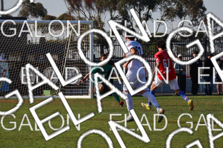 Melbourne Knights vs Oakleigh Cannons photo