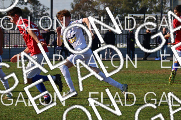 Melbourne Knights vs Oakleigh Cannons photo